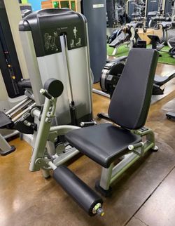 Leg extension