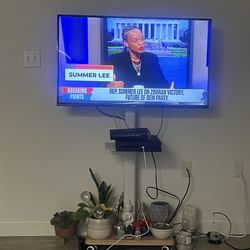 Roku Netflix Hulu TV & Rolling Stand