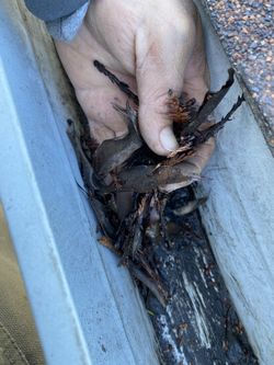 Cleaning Gutters 