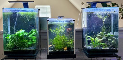 3 SMALL AQUARIUMS FOR SALE