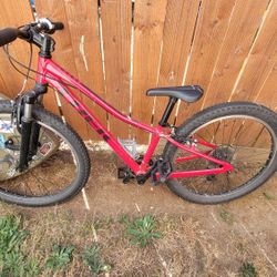Trek 24" Mountain Bike