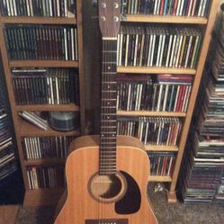 Norman Acoustic  Guitar.