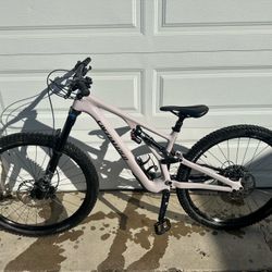 2021 Specialized Stumpjumper EVO Comp