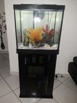 Pecera semi nueva primer dueño