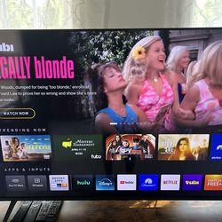 Headline: 55" VIZIO Smart TV 4K UHD - Excellent Condition
