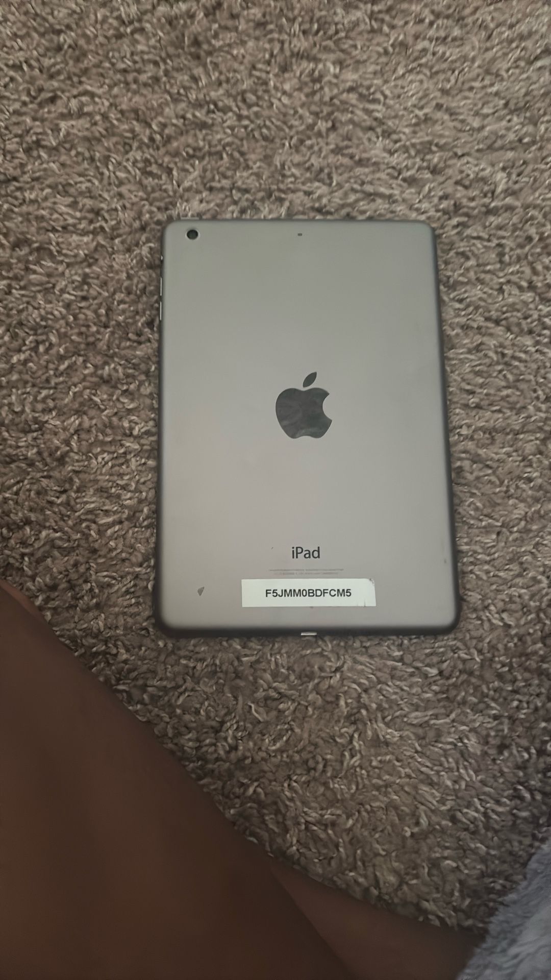 iPad Mini