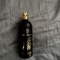 Arabians Tonka (BEST OFFER)