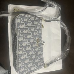 dior bag purse offer