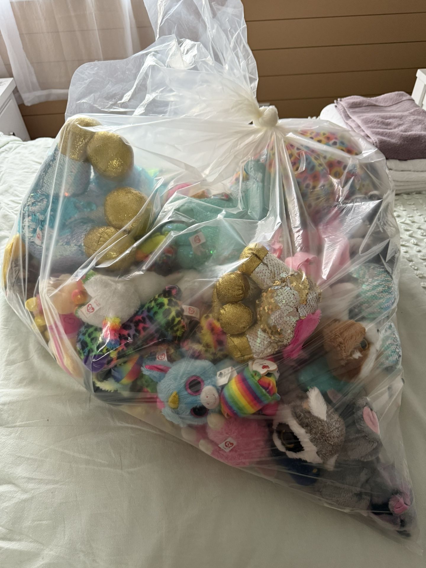 Beanie Boos