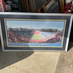 UCLA BRUINS/ CURTIS REED PHOTOGRAPHY