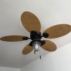 Fan 