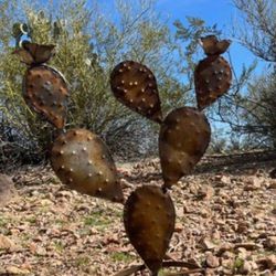 Large Rustic Prickly Pear Cactus  Nopales Decorative Yard Art