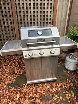 BBQ - 1 year old - Monument Grills