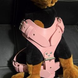 Dog Harness