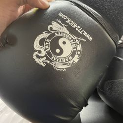 Martial arts gloves  See pictures for details 
