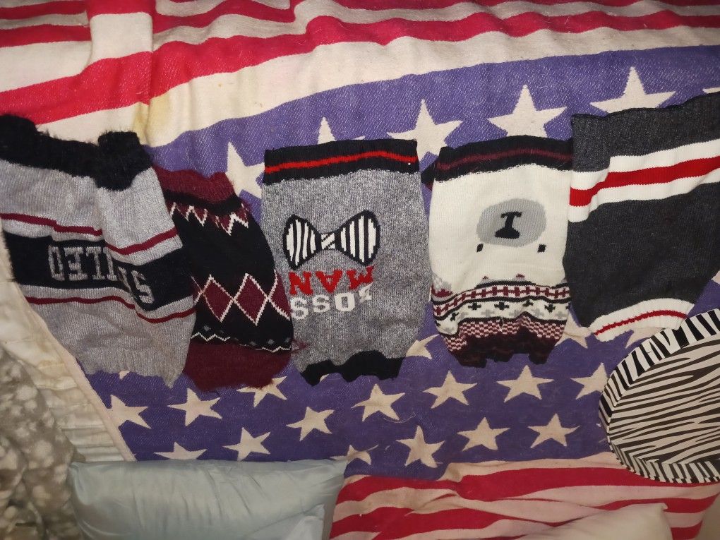 5 New Sz Med Doggie Sweaters Shirts 18 All5 Firm Look My Post Tons Item
