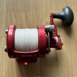 Avet MXL 6/4 -MC Raptor 2 Speed Fishing Reel