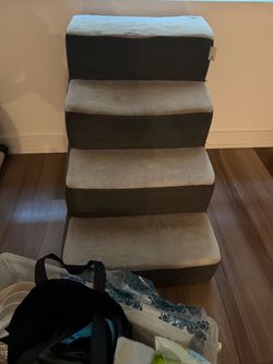 Free dog stuff