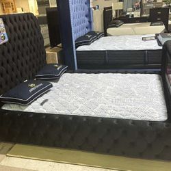 OM• $38 Initial • Brand New Natalia Bed Frame 