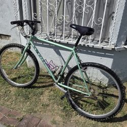 Mountain Bike $55