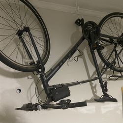 Adult Bicycle