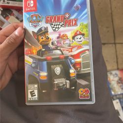 Paw Patrol Game