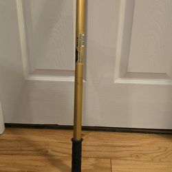 Painting: ETTORE REA-C-H Telescopic Extension Pole & Paint Roller Frame—Gold/Blk