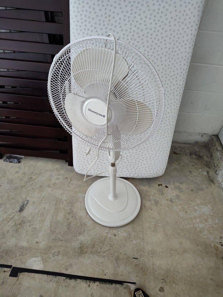 Fan