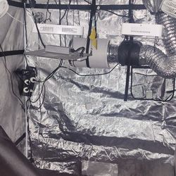 Grow tent with everything ready to grow 60x60x80