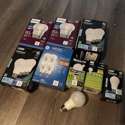 Light Bulbs 