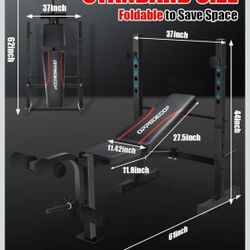 Standard Weight Bench Set with Squat Rack, 600LBS Adjustable Bench Press Set with Leg Extension and Leg Curl, Foldable Flat Incline Decline Workout Be