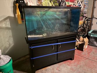 55 gallon fish tank