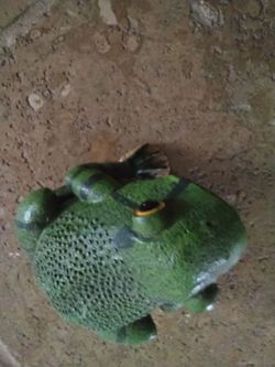 Frog-figurine
