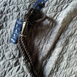 Dog Leash 