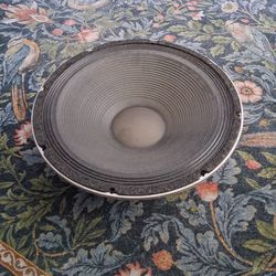 Peavey Black Widow 15"