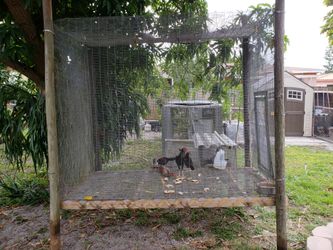 Large cages