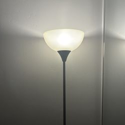 floor lamp with a frosted bowl-shaped shade