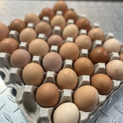 Farm Fresh Eggs 🥚 