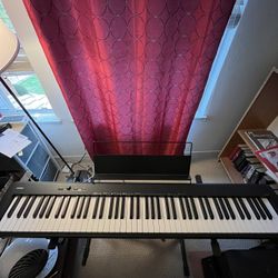 Cassio 88 Key Piano 