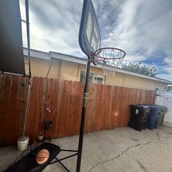 Basketball Court / Free ball
