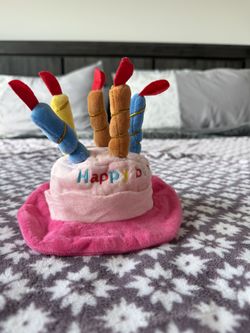 Pet Bday Hat 