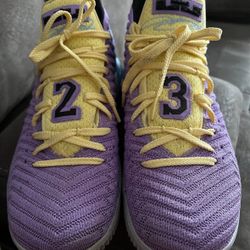 Nike Lebron 16 Lakers Colorway Sz 11.5 Mens