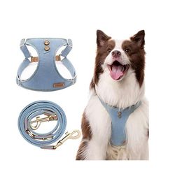 Blue Denim Dog Harness and Leash Set