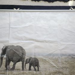 Cloth Elephant And Zebra Painting With Detachable Frame. 6.7in  x 4.7