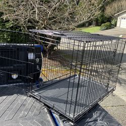 Large Medium Dog Kennel Crate Collapsible in Good Condition 36” L by W 22” H “24