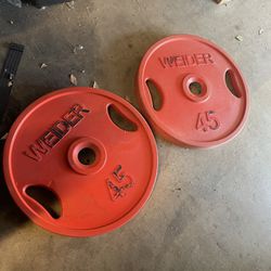 Weight Plates 45lbs