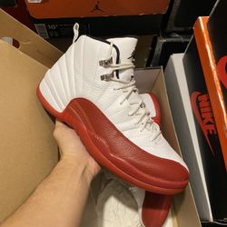 Jordan Cherry 12s size 10 VNDS