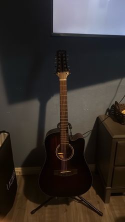 Mitchell 12 string