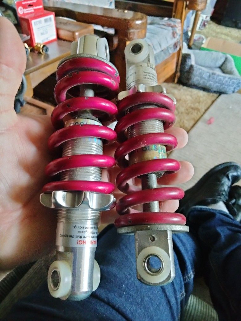 Rear Bicycle Springs