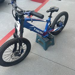 Voltaic 20” 48v Stacyc, Orion